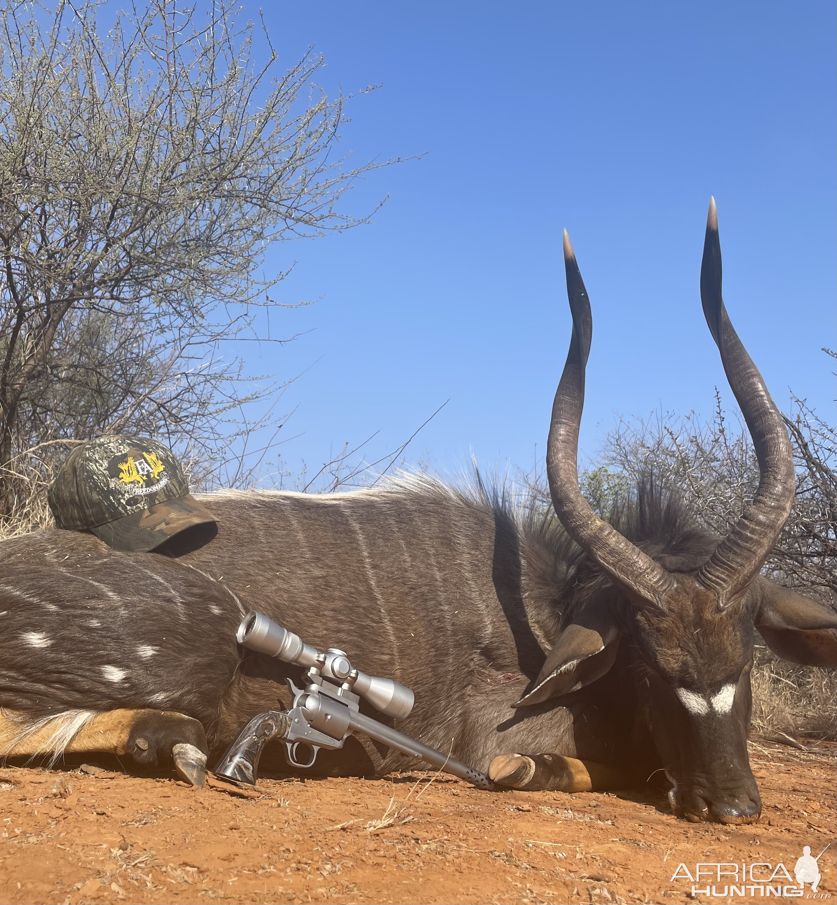 Nyala Handgun Hunt South Africa