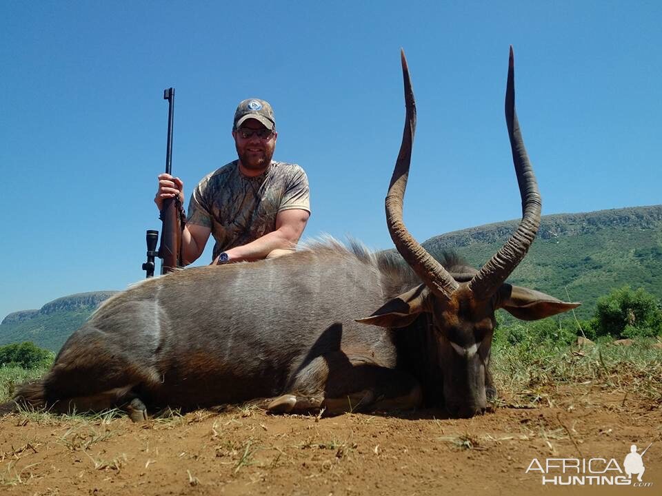 Nyala Hunt 31" Inch