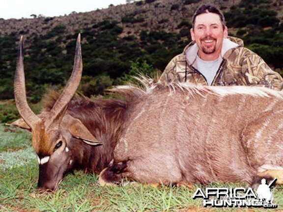 Nyala Hunt East Cape SA