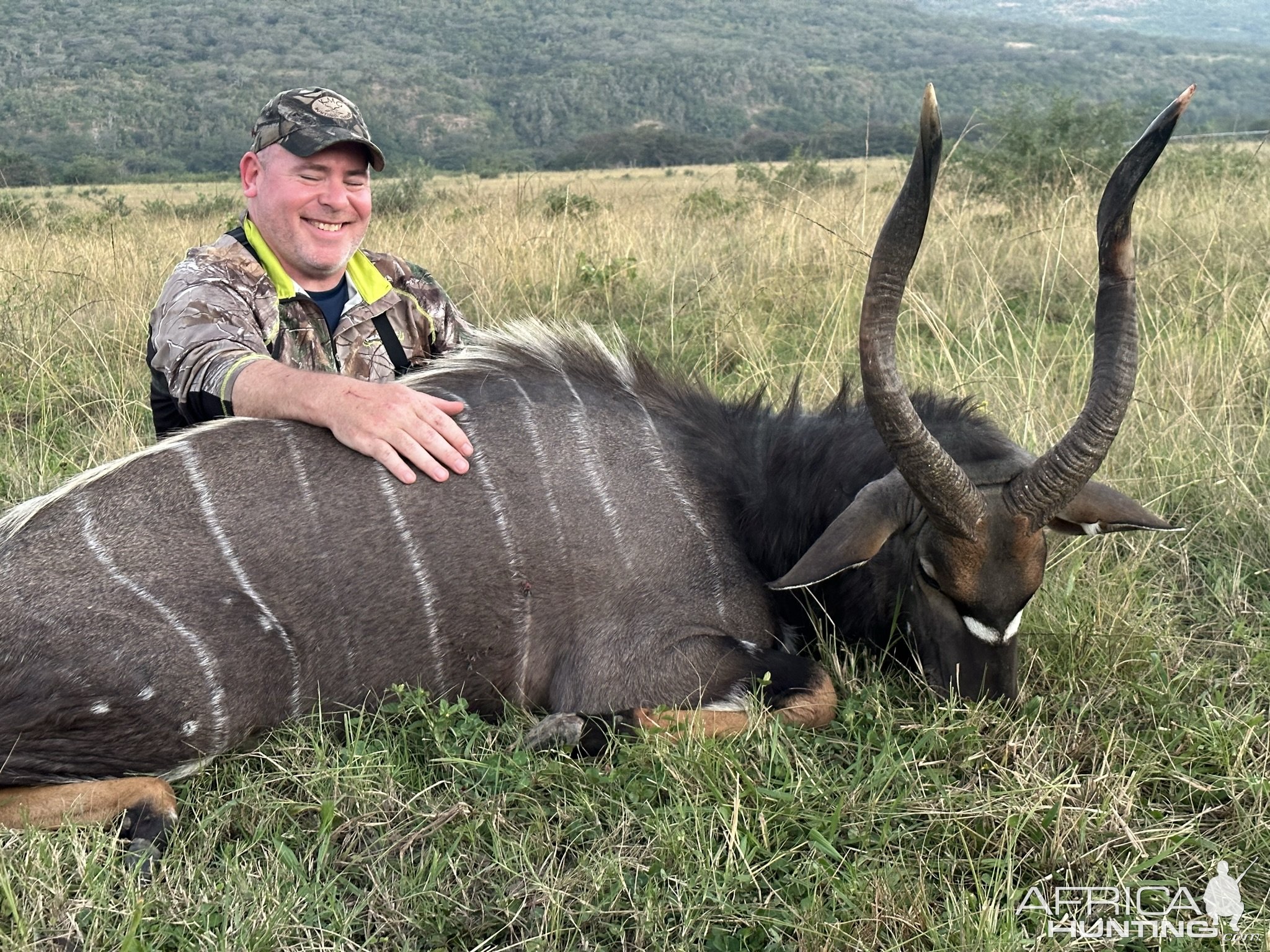 Nyala Hunt Eastern Cape South Affrica