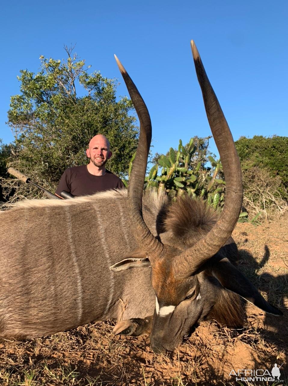 Nyala Hunt Eastern Cape South Africa