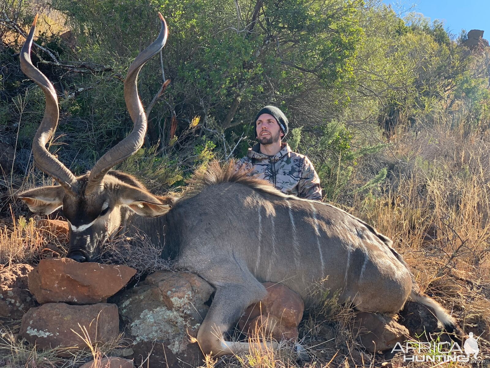 Nyala Hunt Eastern Cape South Africa