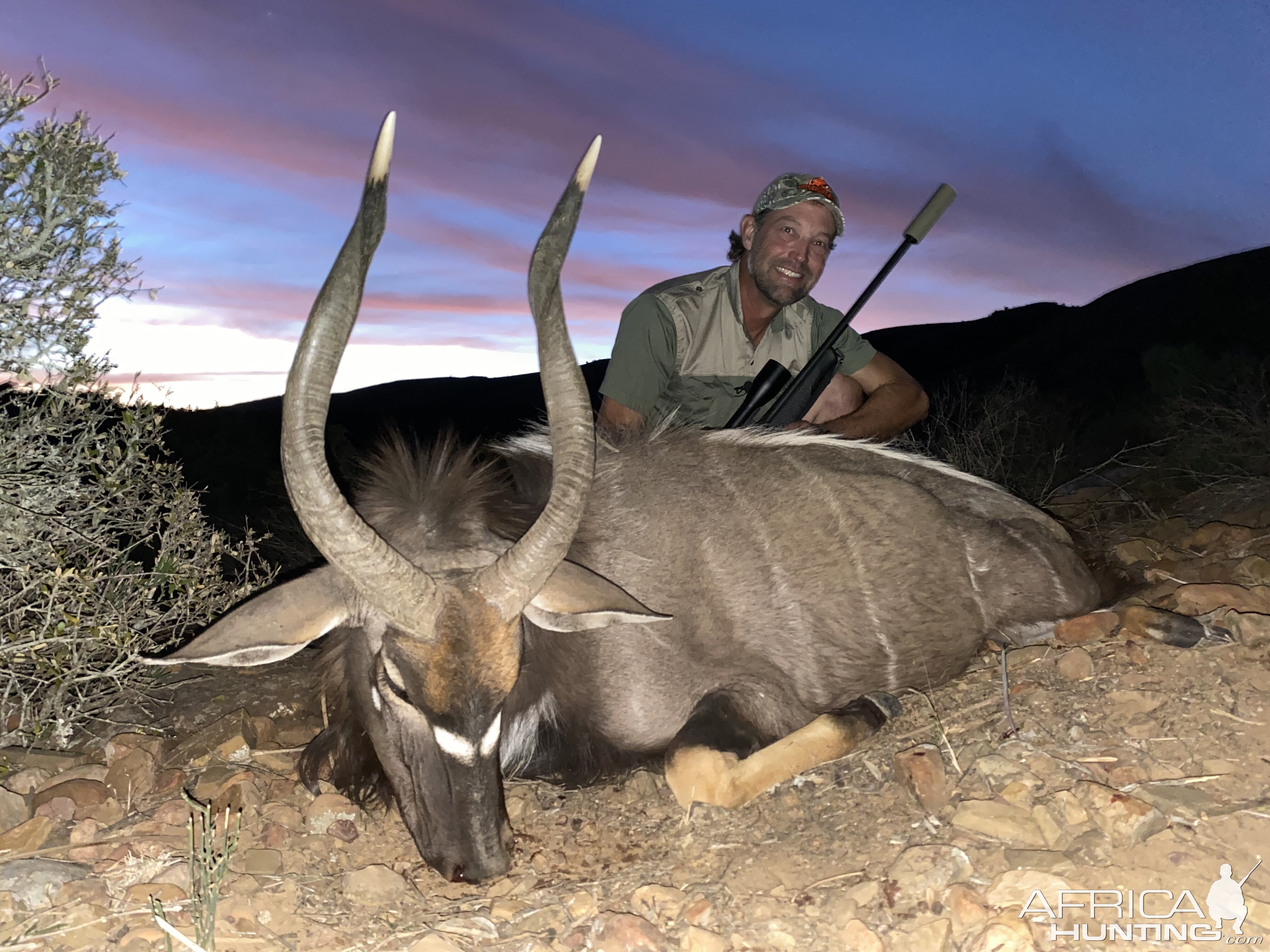 Nyala Hunt Eastern Cape South Africa