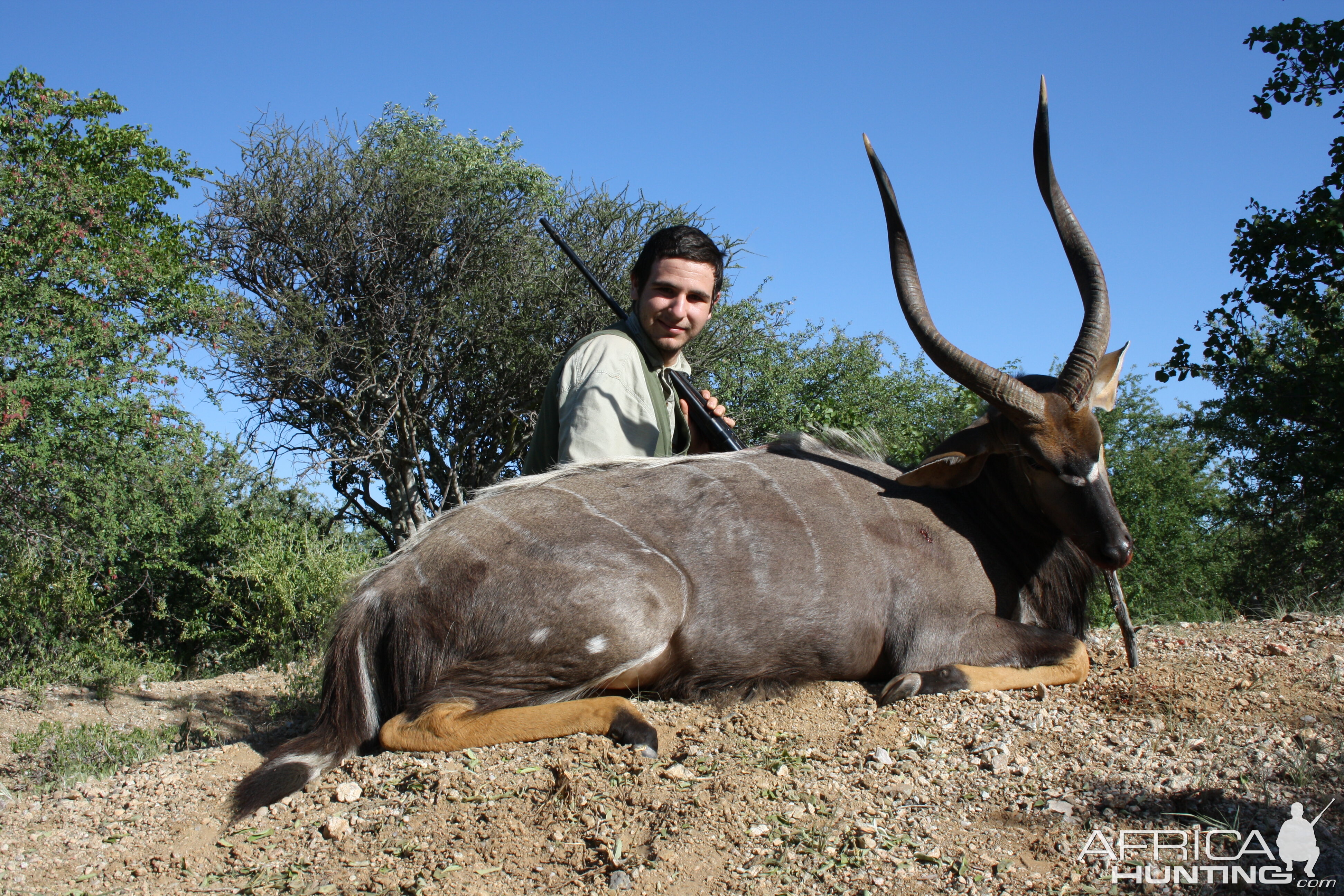 Nyala Hunt in Limpopo