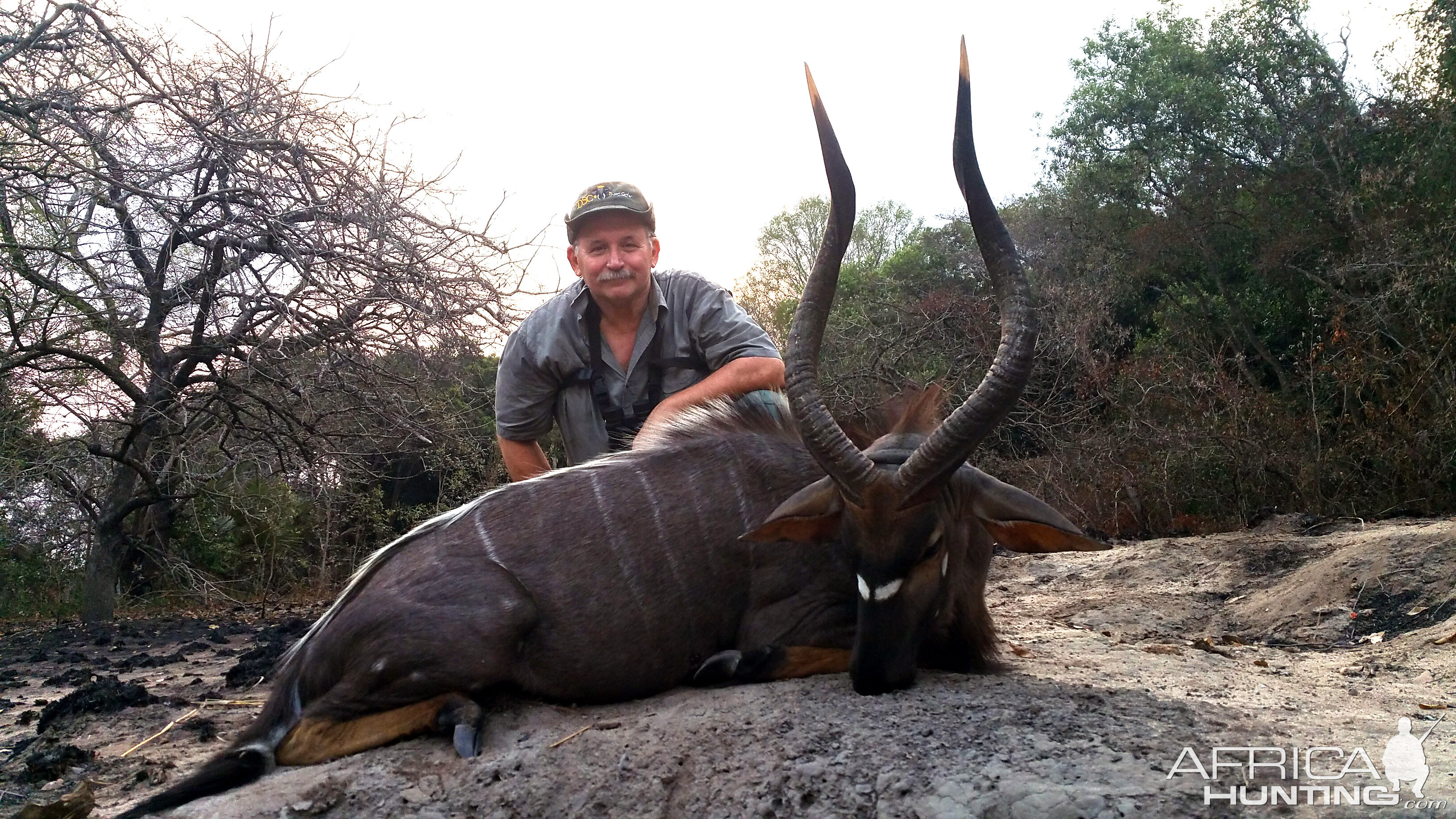 Nyala Hunt in Mozambique