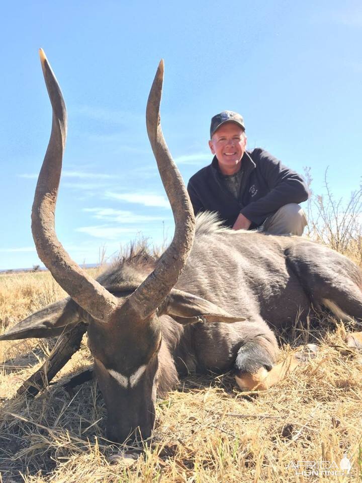 Nyala  Hunt in South Africa