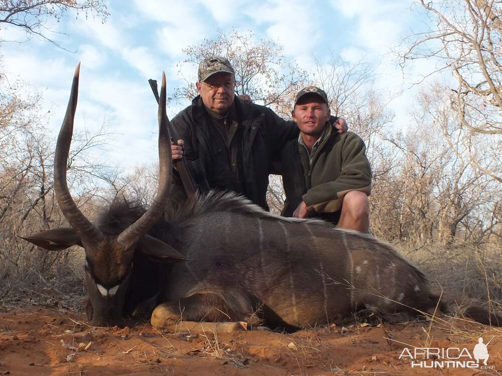 Nyala Hunt in South Africa