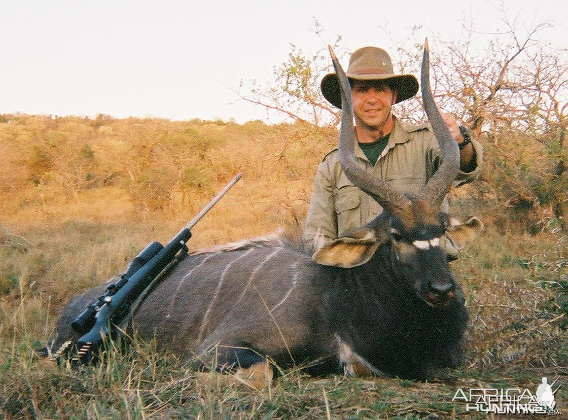 Nyala hunt in South Africa