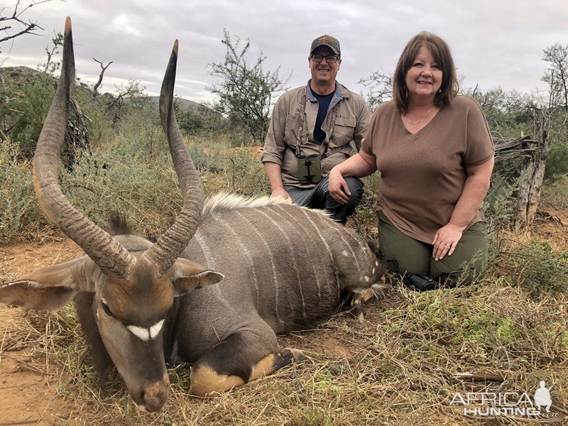 Nyala Hunt Karoo South Africa