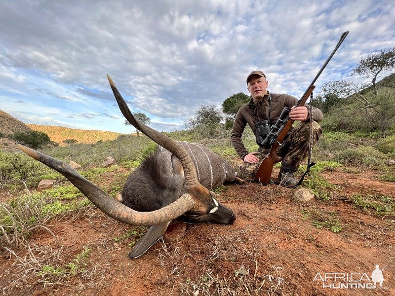 Nyala Hunt Karoo South Africa