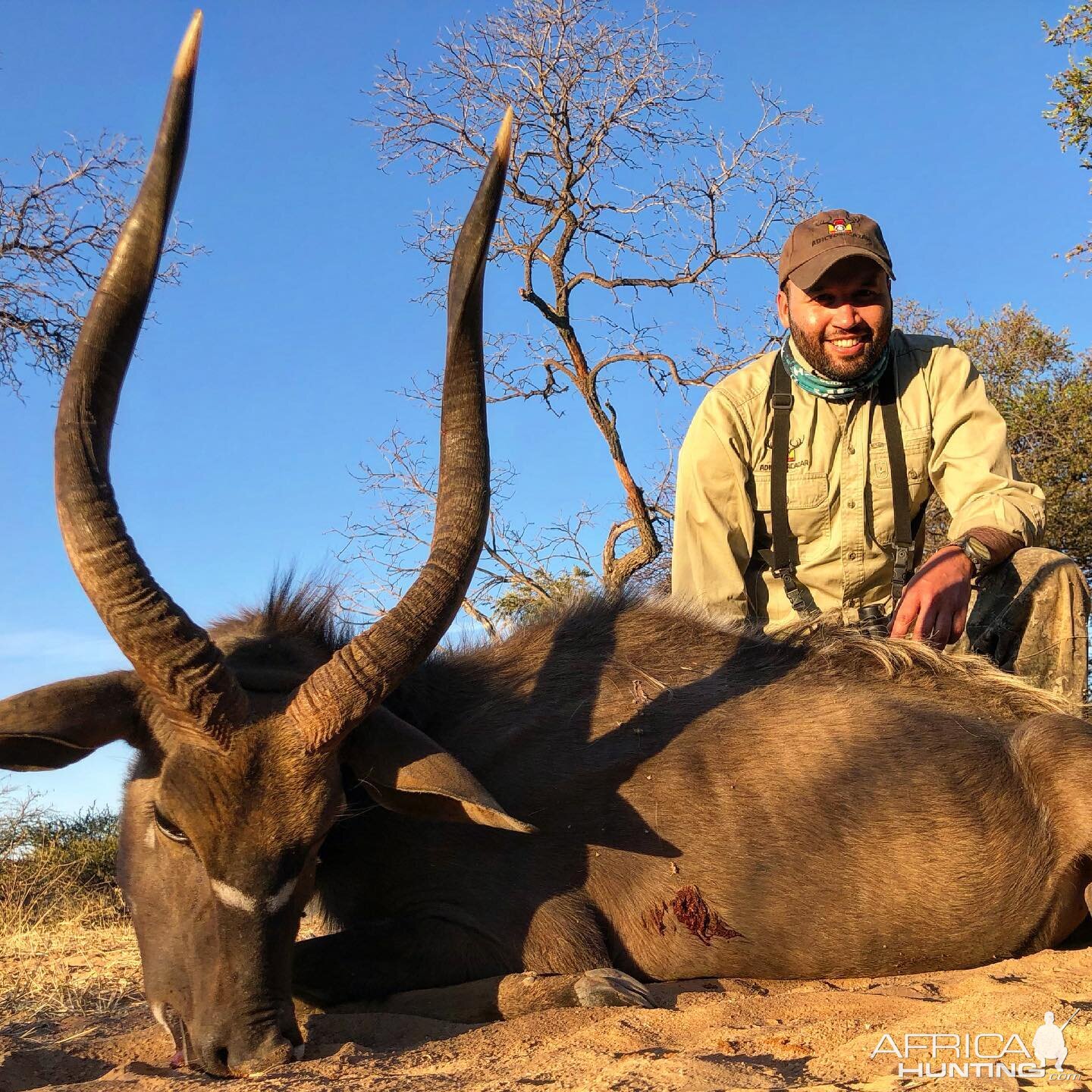 Nyala Hunt Limpopo South Africa