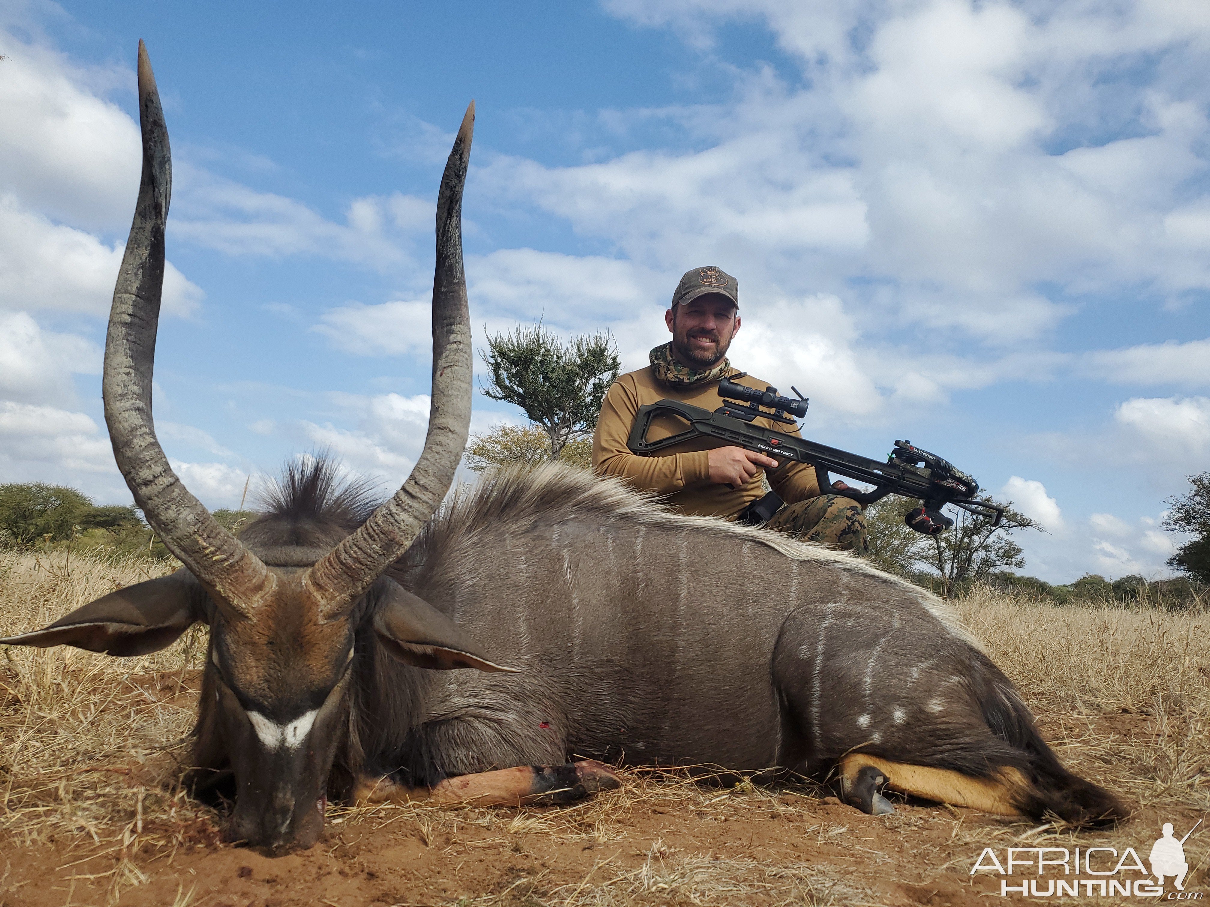 Nyala Hunt Limpopo South Africa