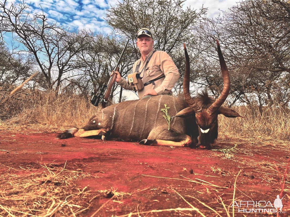 Nyala Hunt Limpopo South Africa