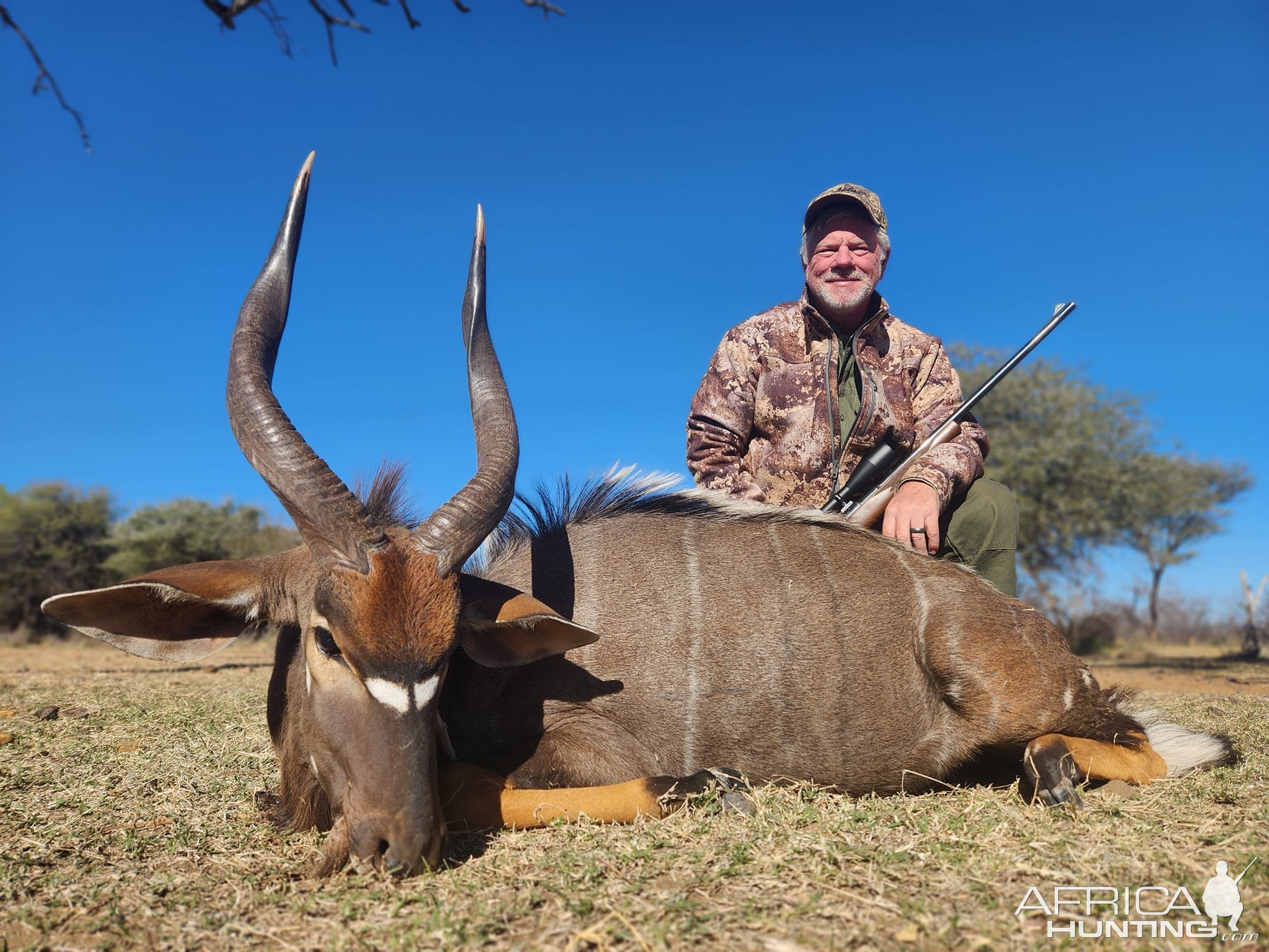 Nyala Hunt Limpopo South Africa