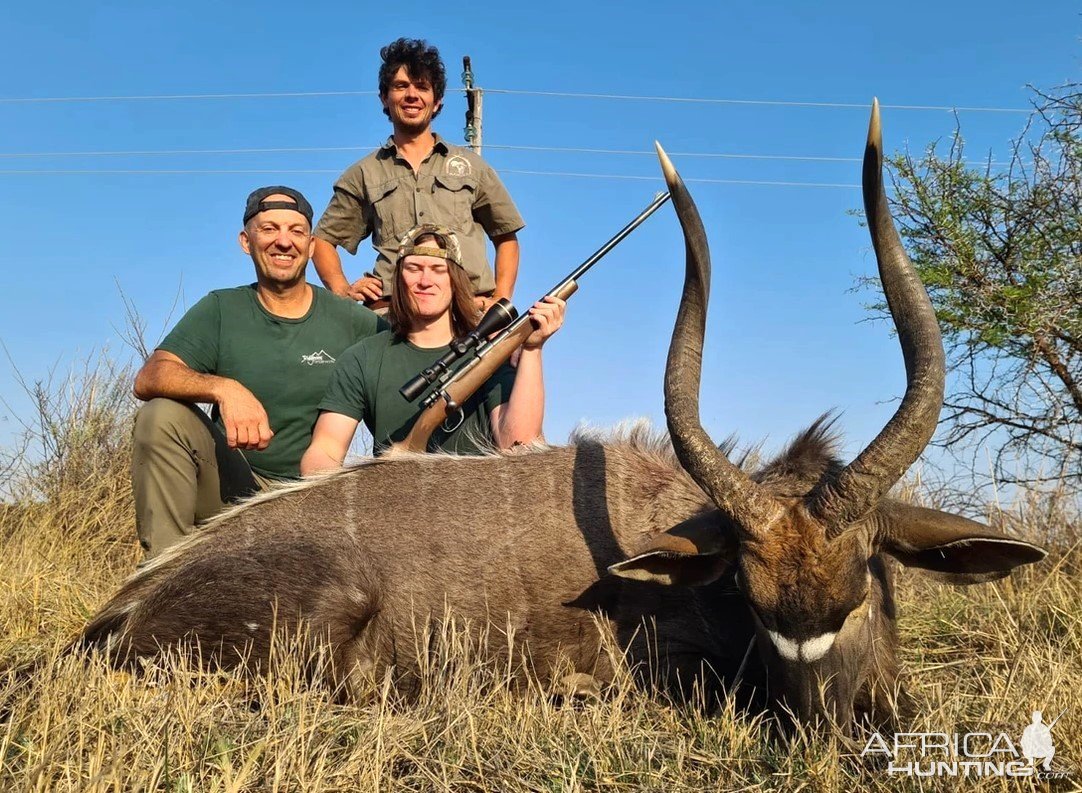 Nyala Hunt Limpopo South Africa