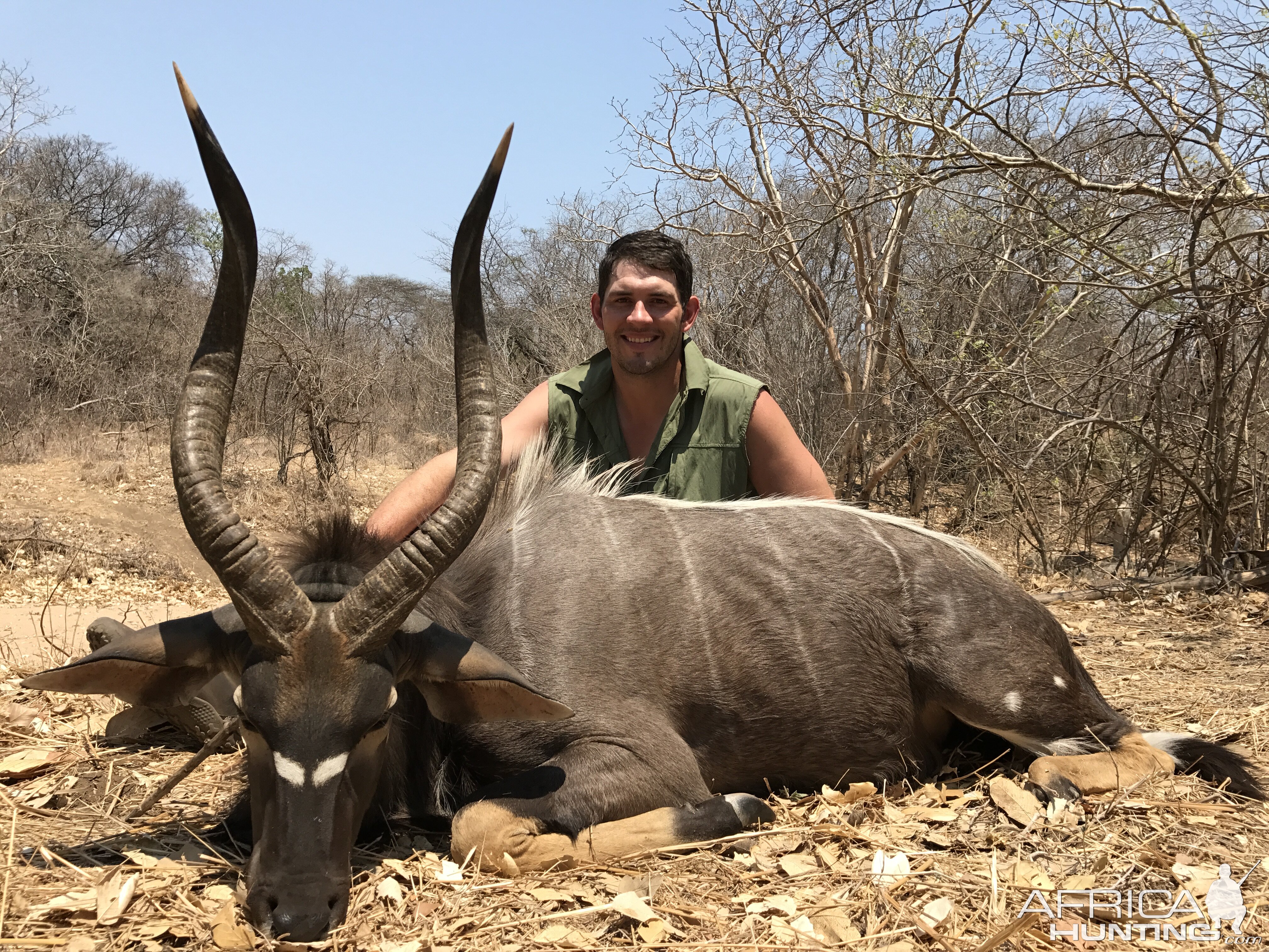 Nyala Hunt Mozambique