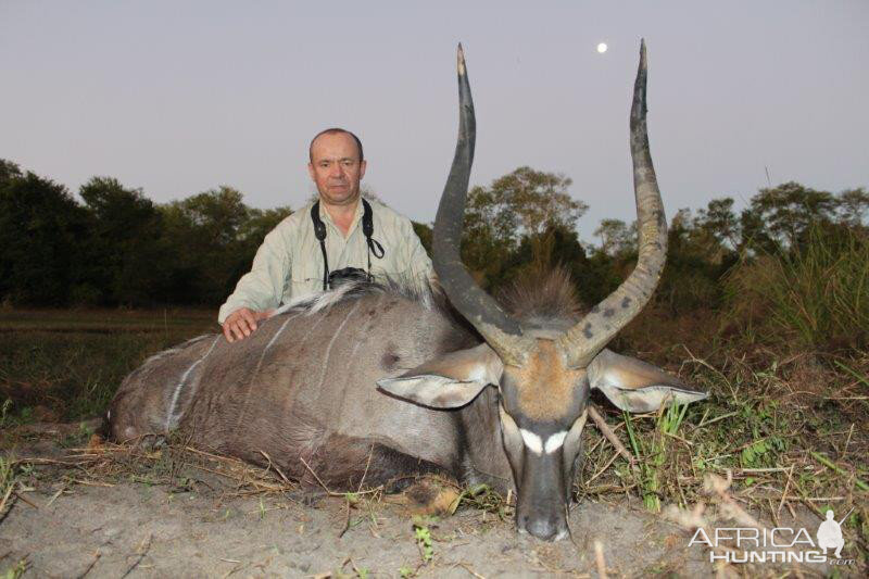 Nyala Hunt Mozambique