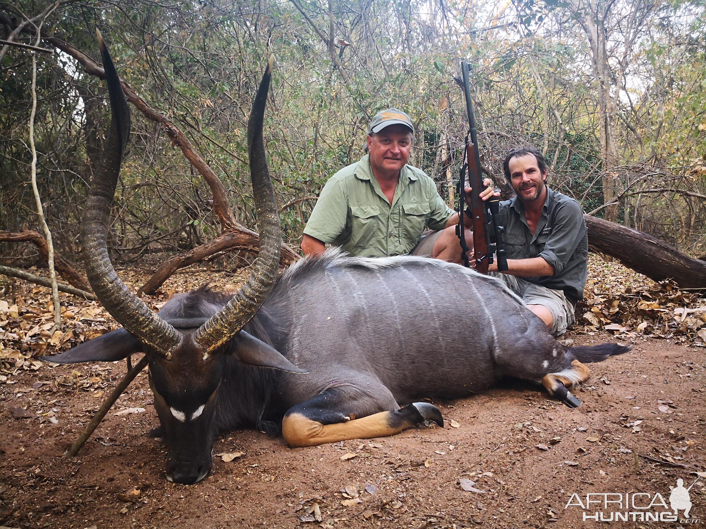 Nyala Hunt Mozambique