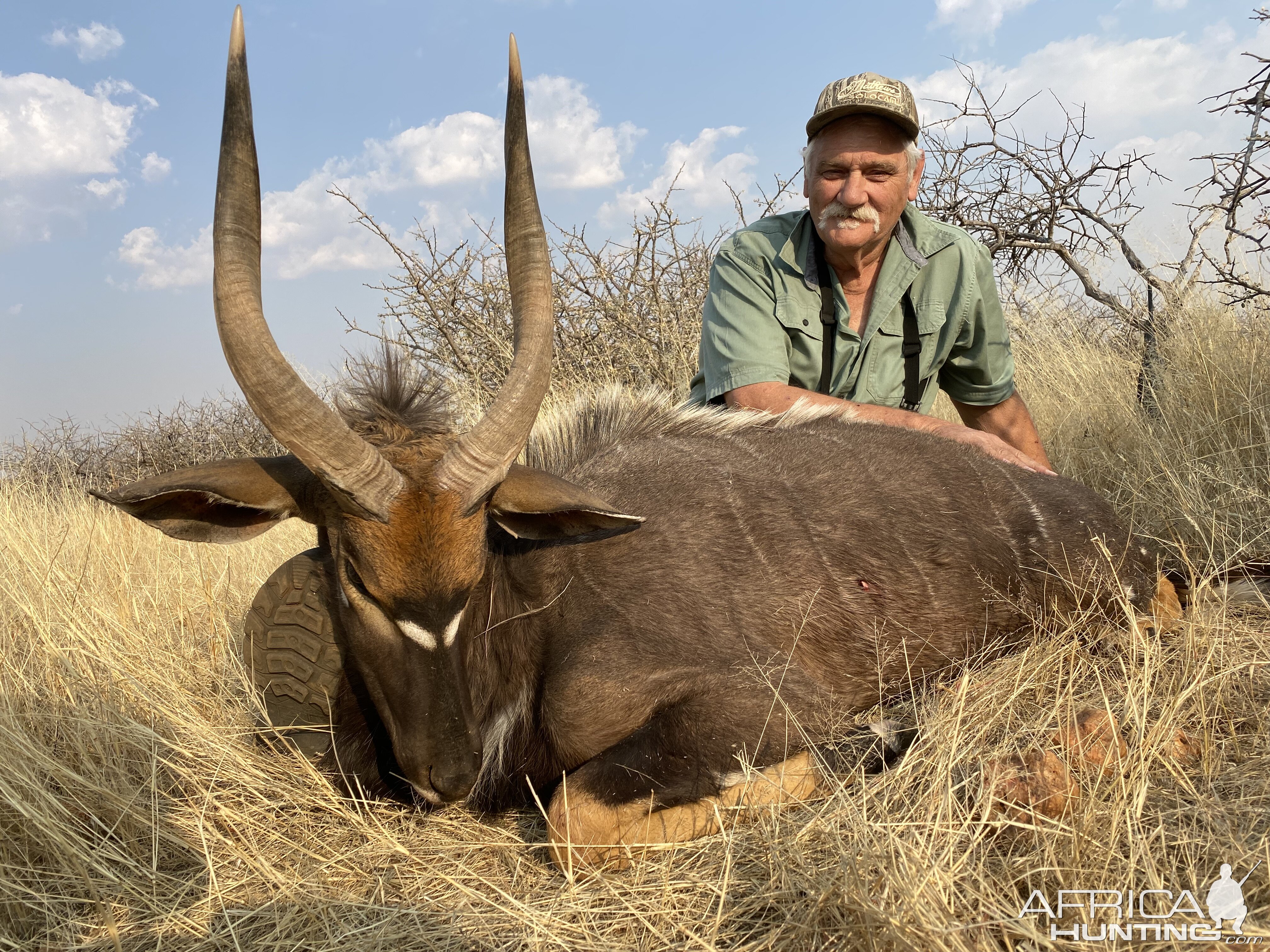 Nyala Hunt Namibia