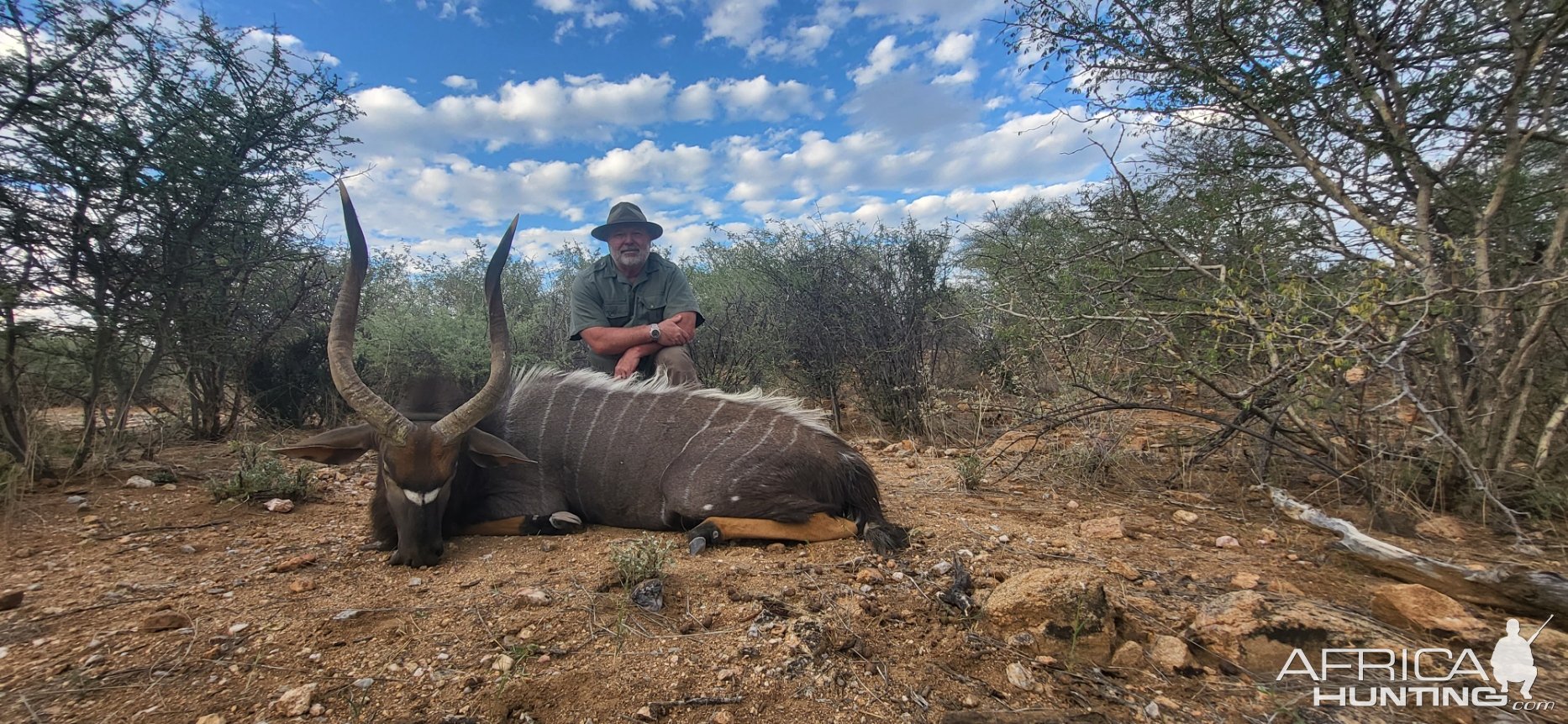 Nyala Hunt Namibia