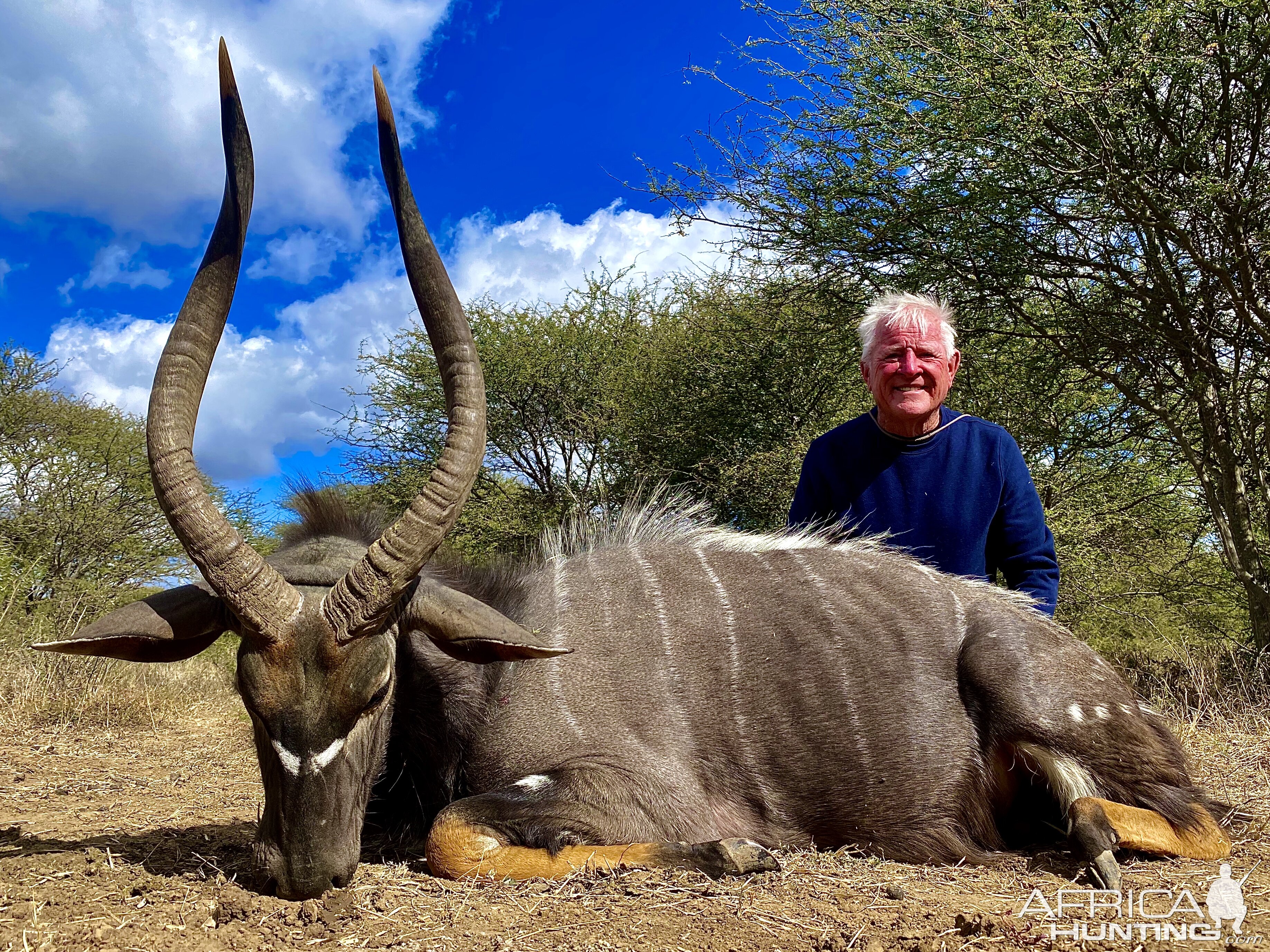 Nyala Hunt South Africa