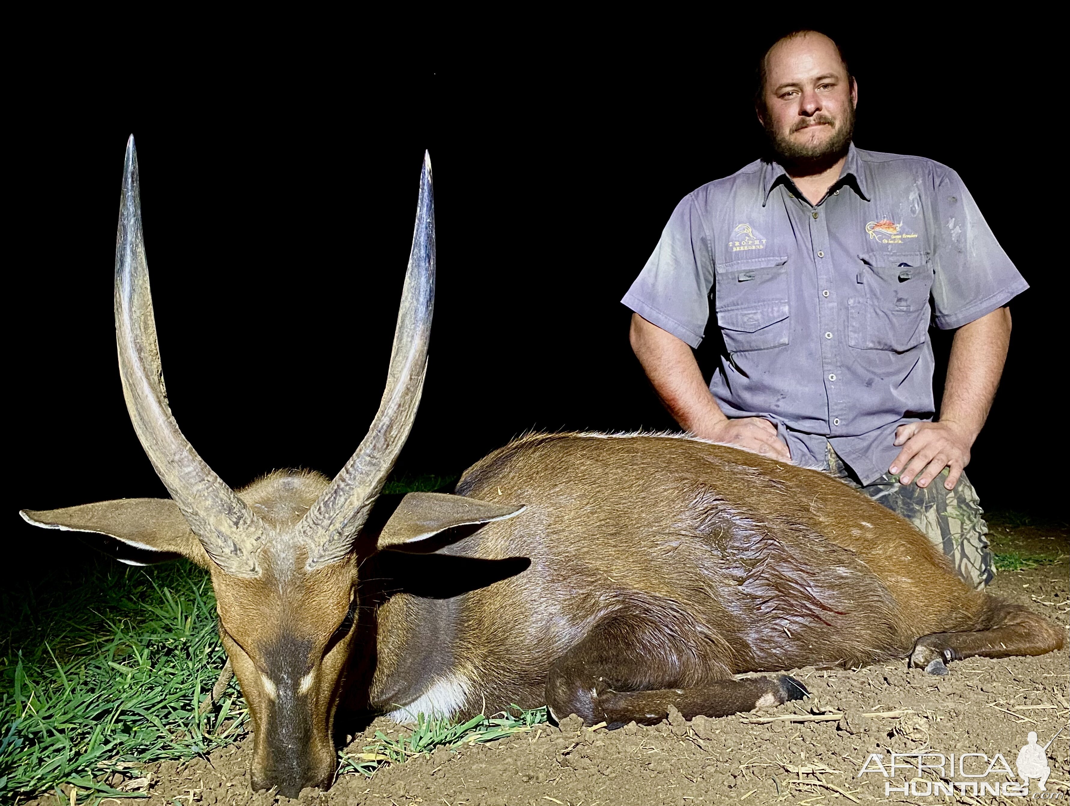 Nyala Hunt South Africa