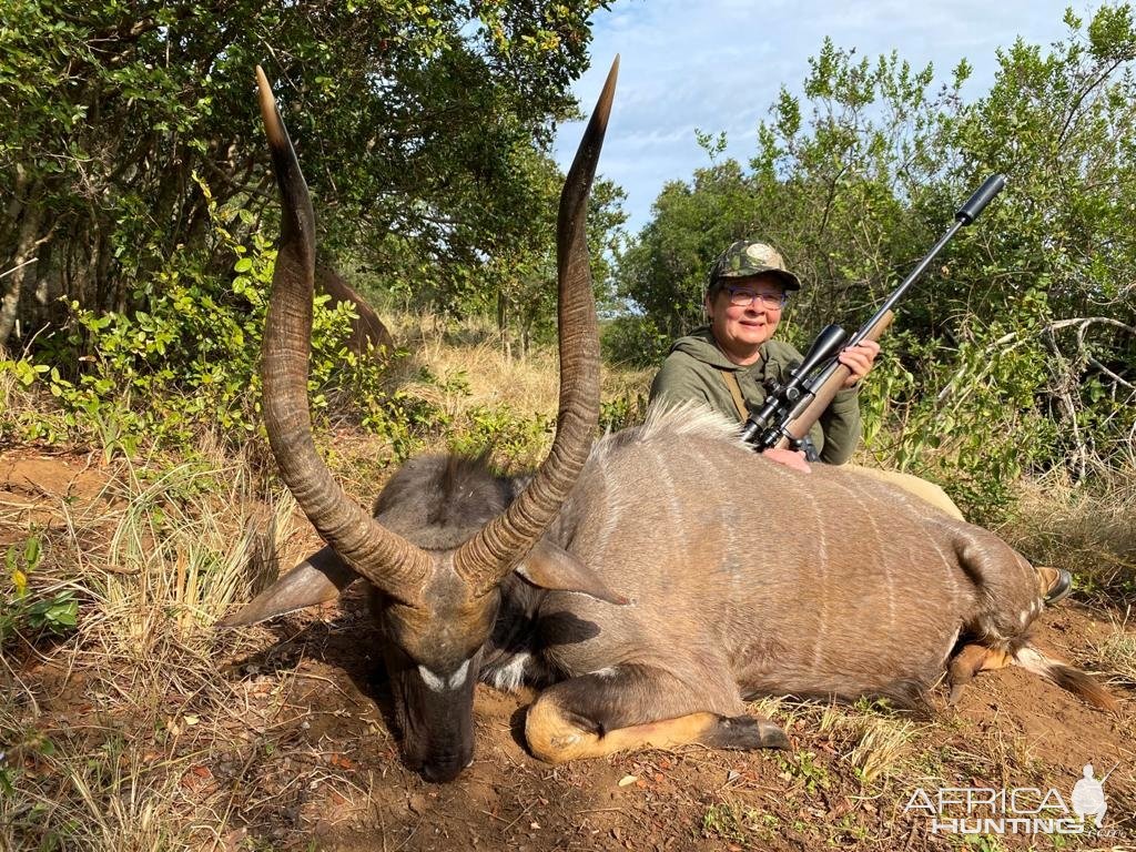 Nyala Hunt South Africa