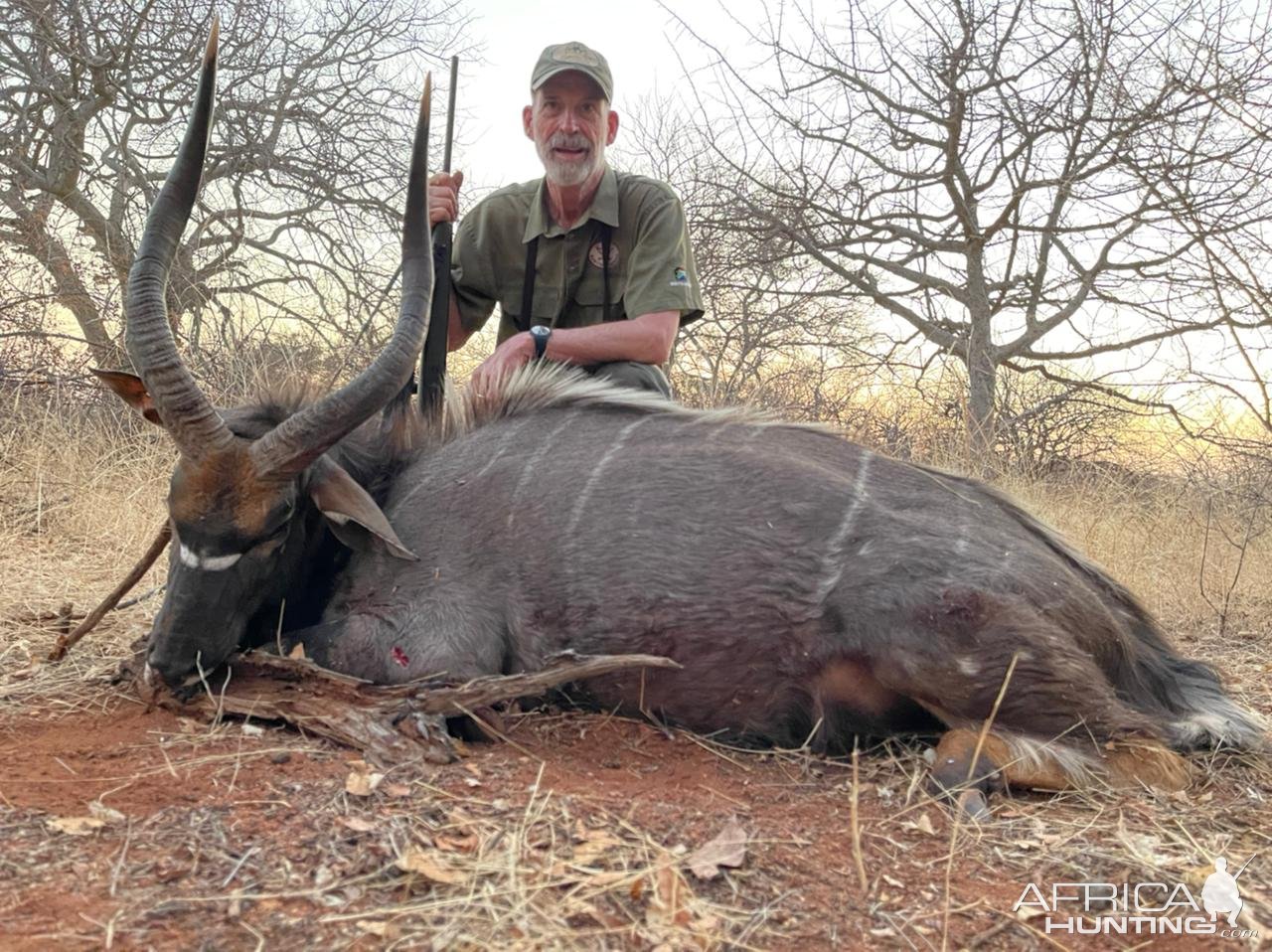 Nyala  Hunt South Africa