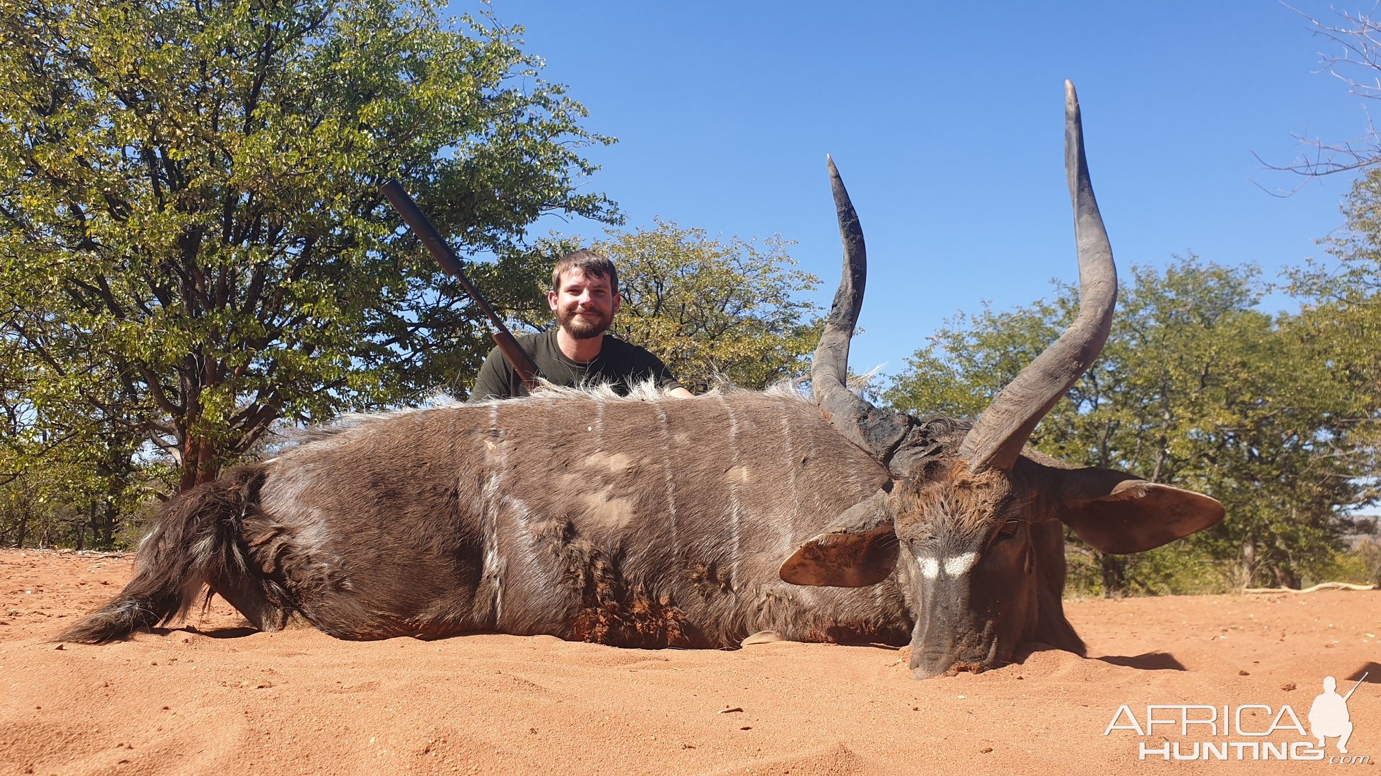 Nyala Hunt South Africa