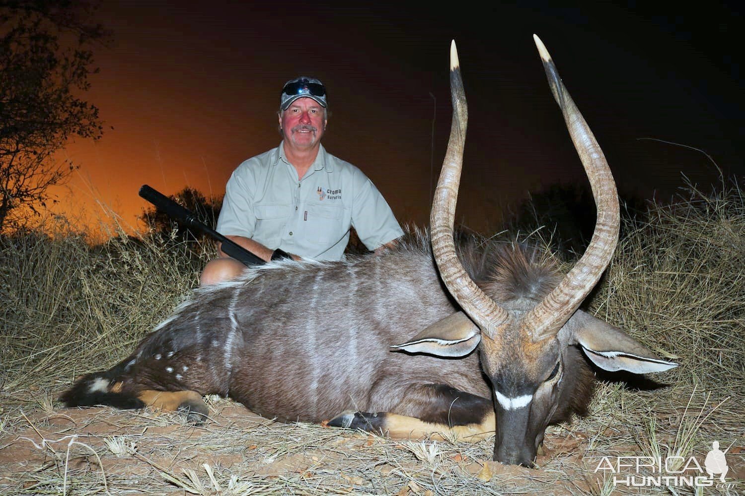 Nyala Hunt South Africa