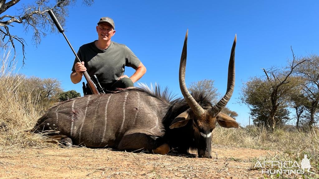 Nyala Hunt South Africa