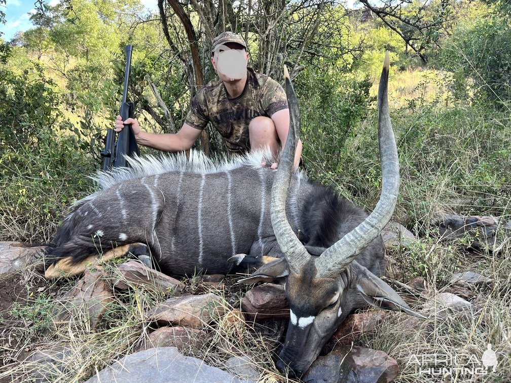 Nyala Hunt South Africa