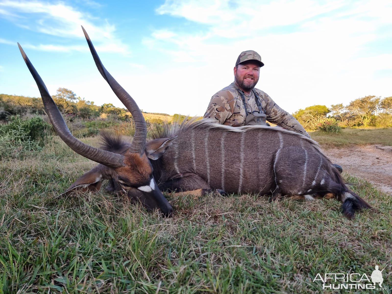 Nyala Hunt South Africa