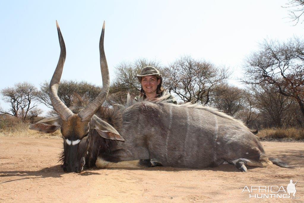 Nyala Hunt South Africa