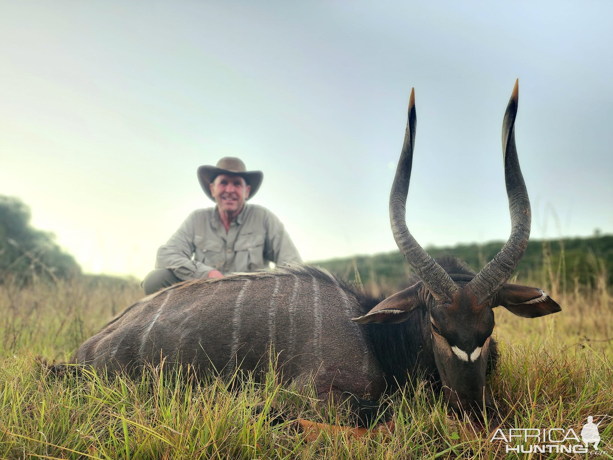 Nyala Hunt South Africa