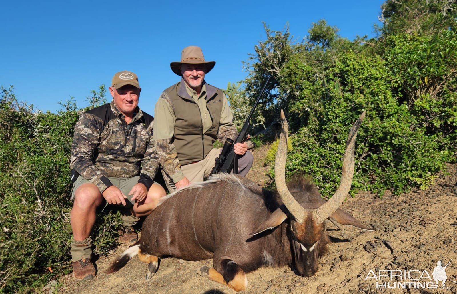 Nyala Hunt South Africa