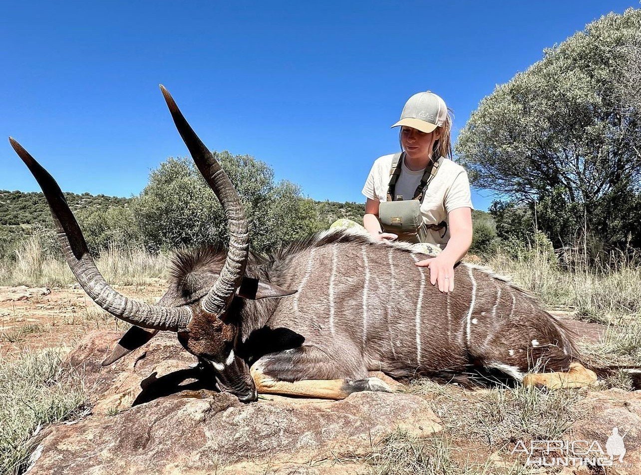 Nyala Hunt South Africa