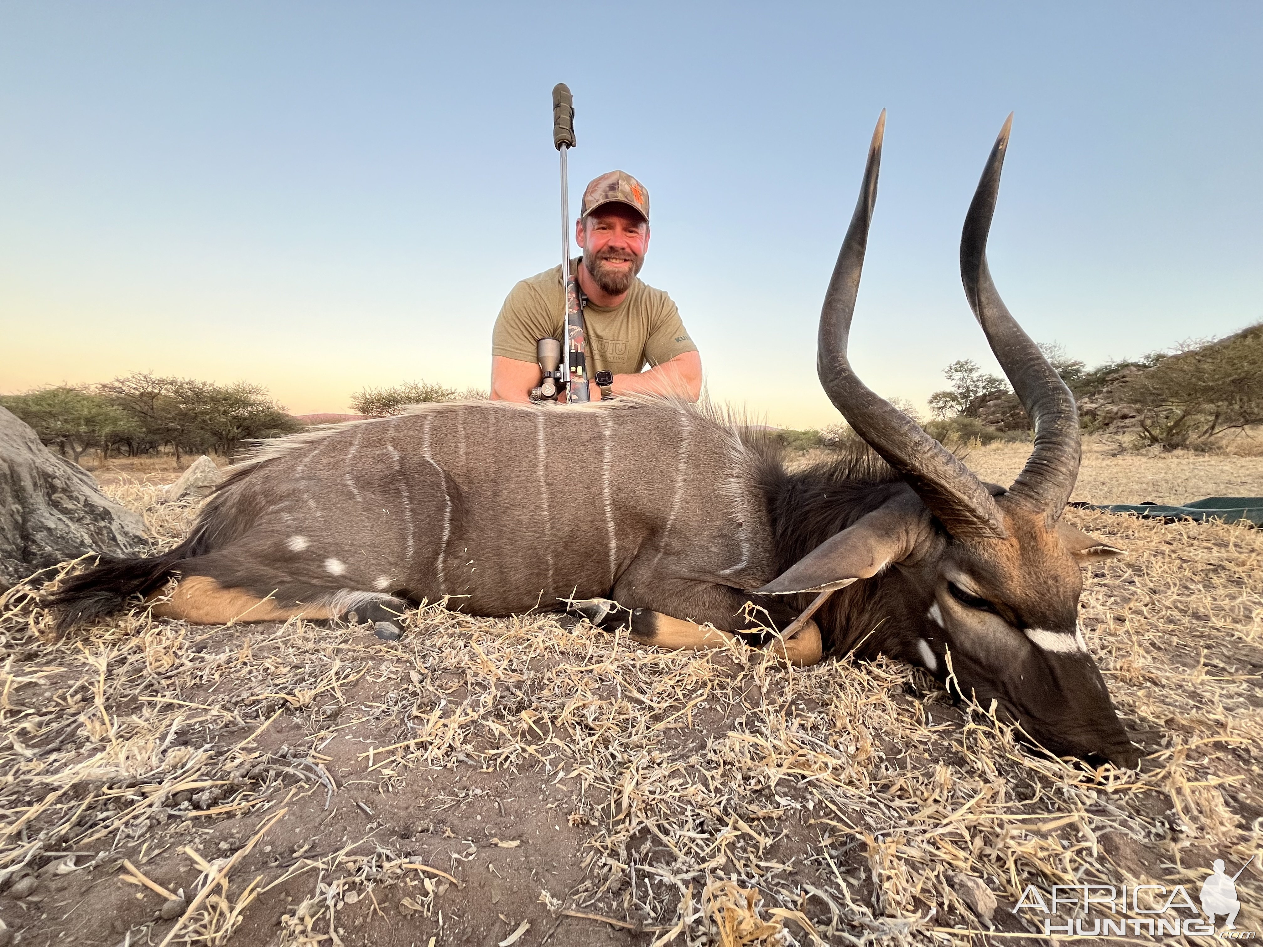 Nyala Hunt South Africa