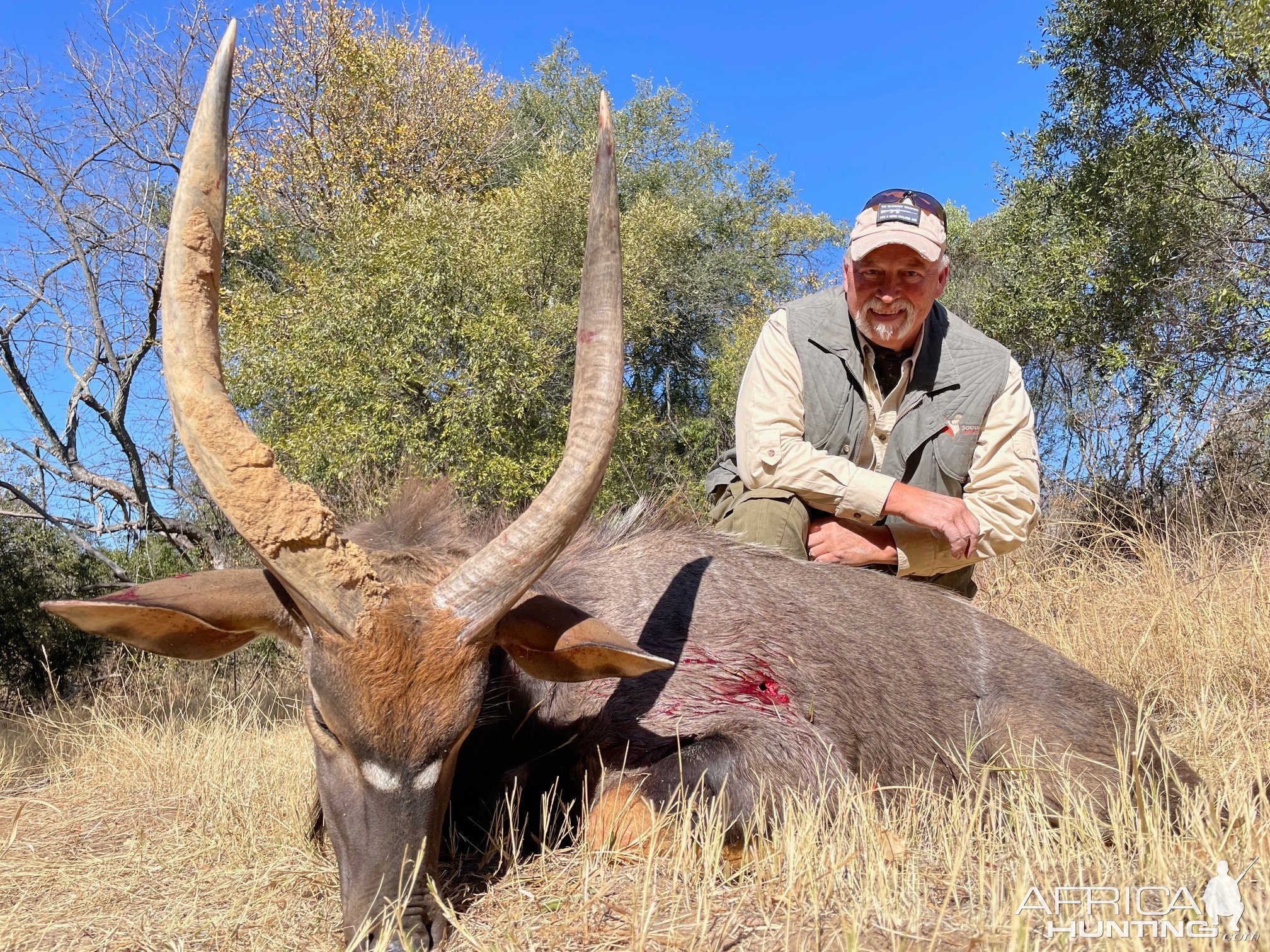 Nyala Hunt South Africa