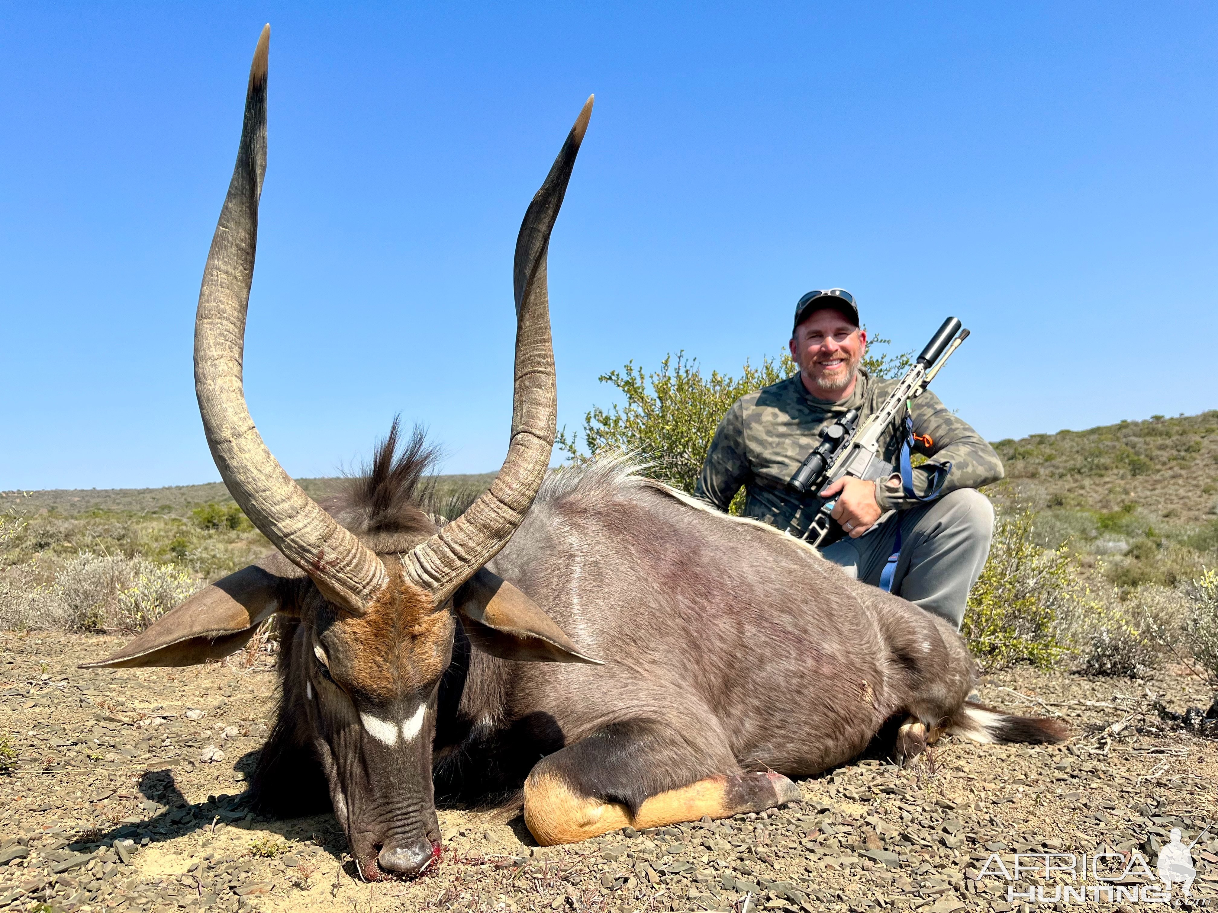 Nyala Hunt South Africa