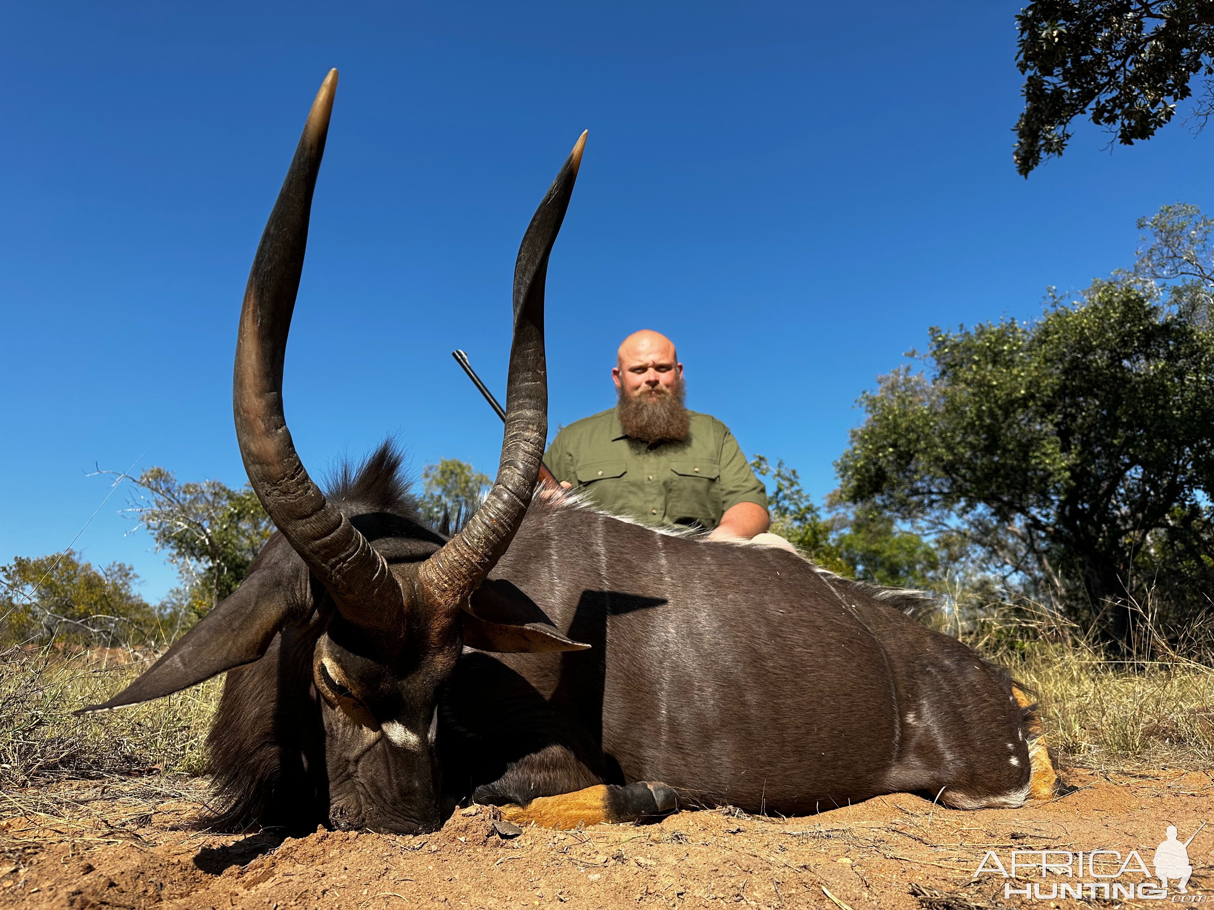 Nyala Hunt South Africa