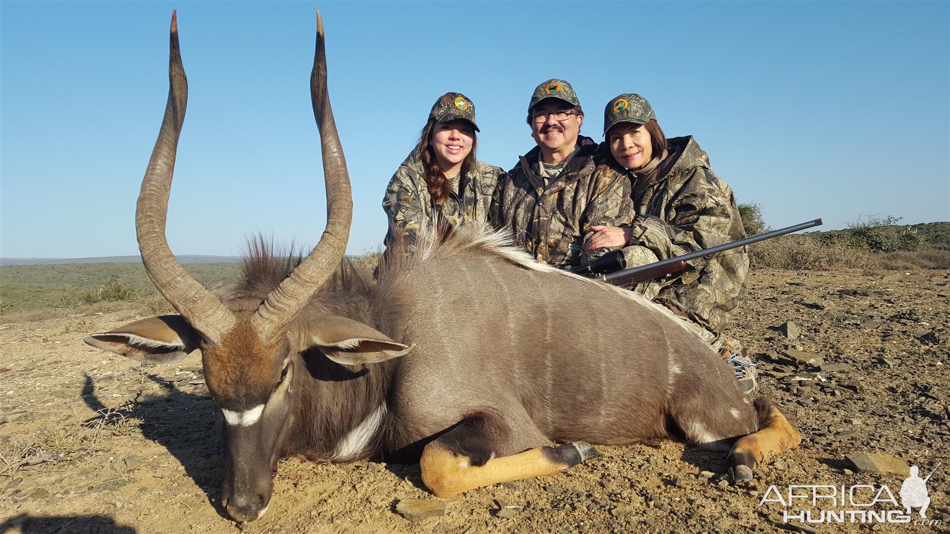 Nyala Hunt South Africa