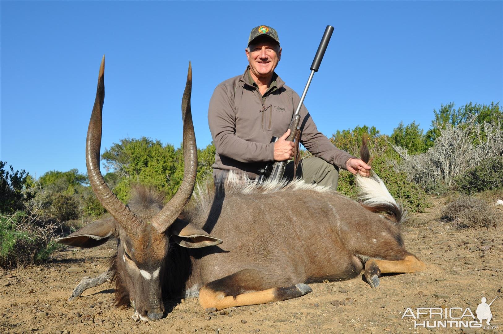 Nyala Hunt South Africa