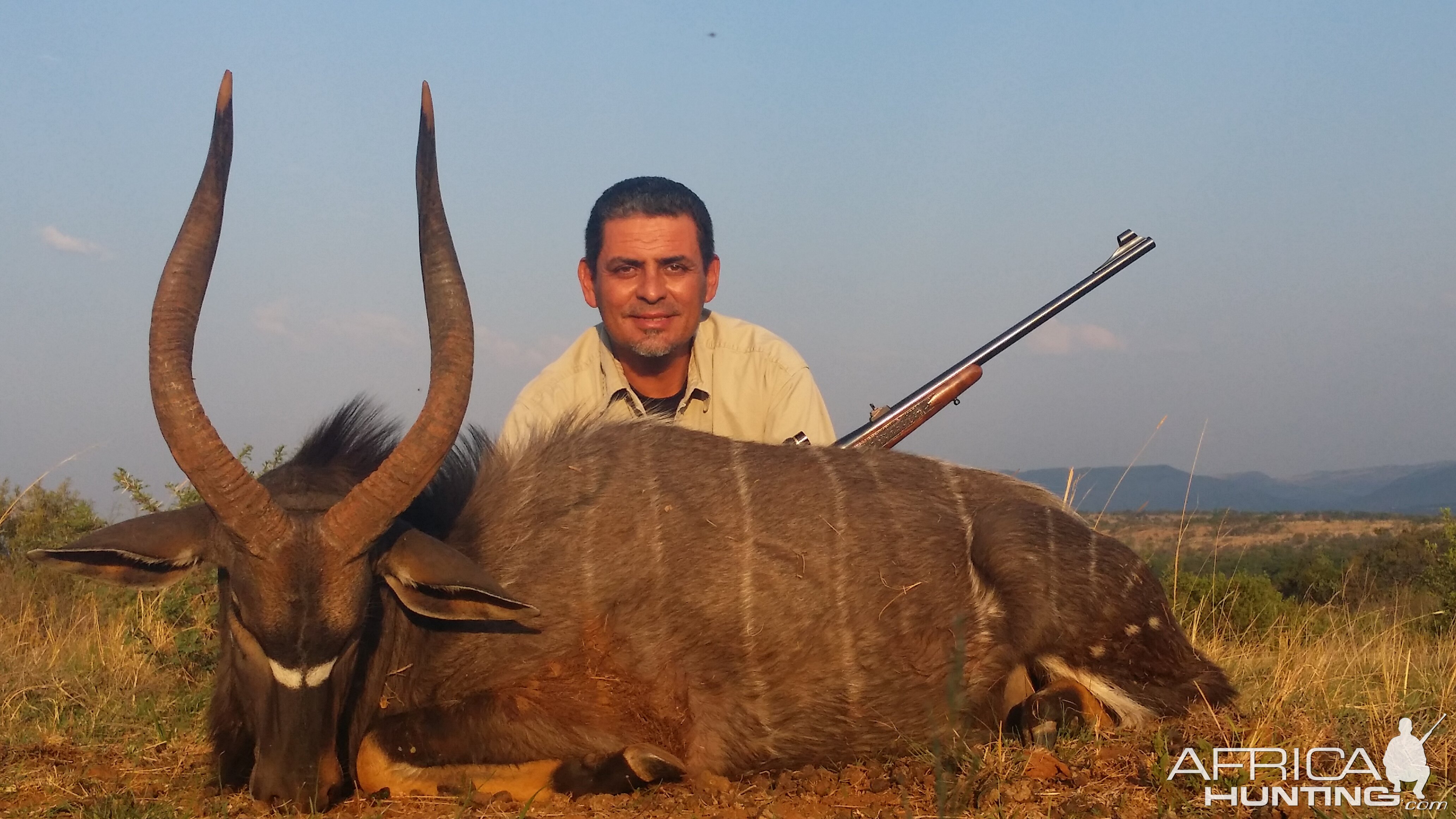 Nyala Hunt South Africa