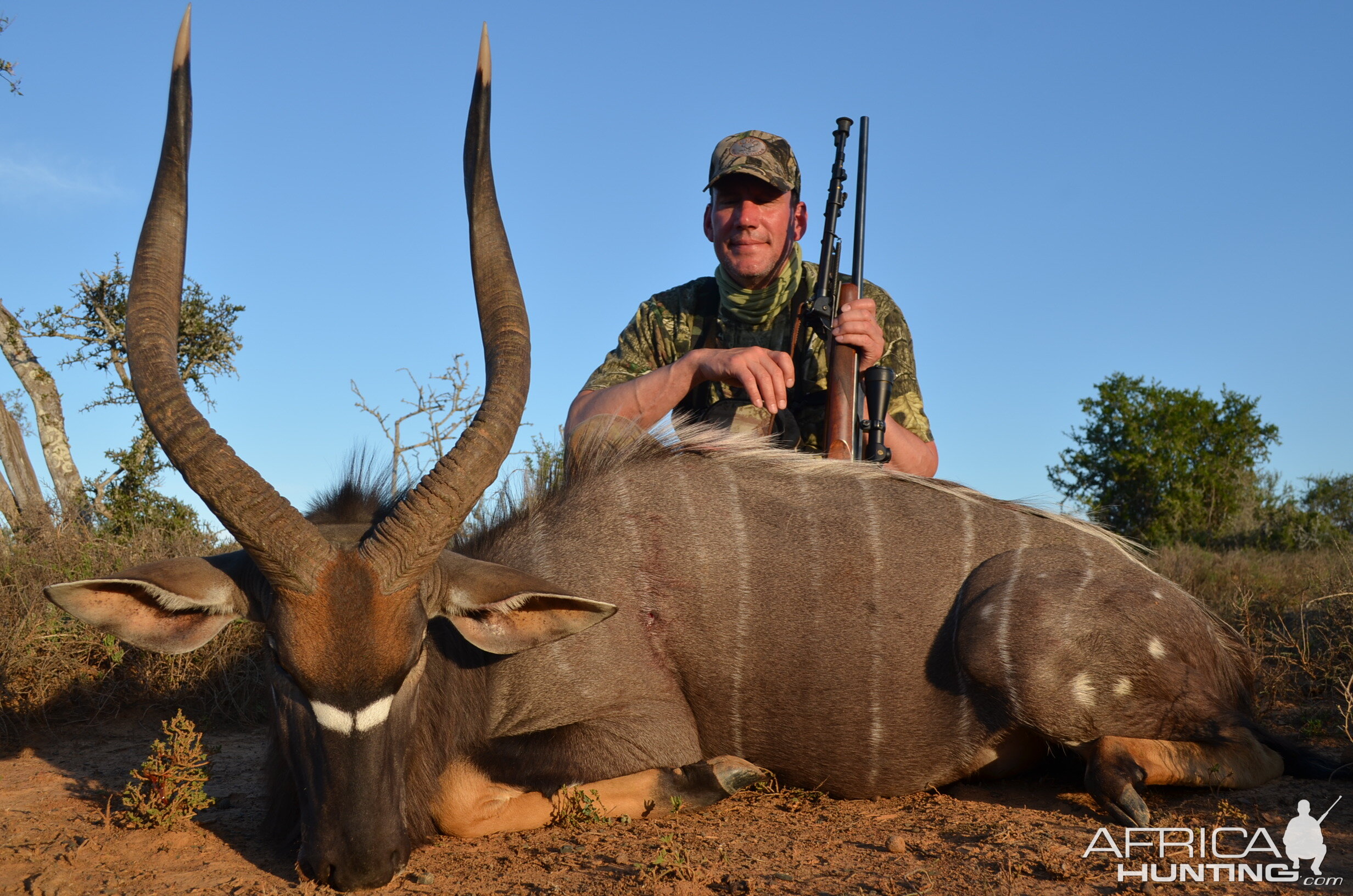 Nyala Hunt South Africa