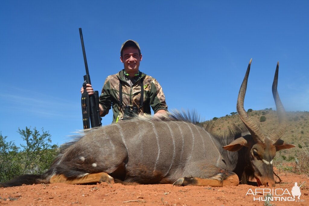 Nyala Hunt South Africa