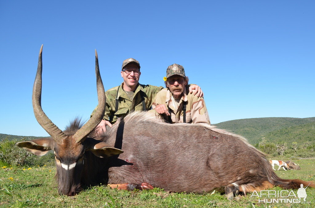 Nyala Hunt South Africa