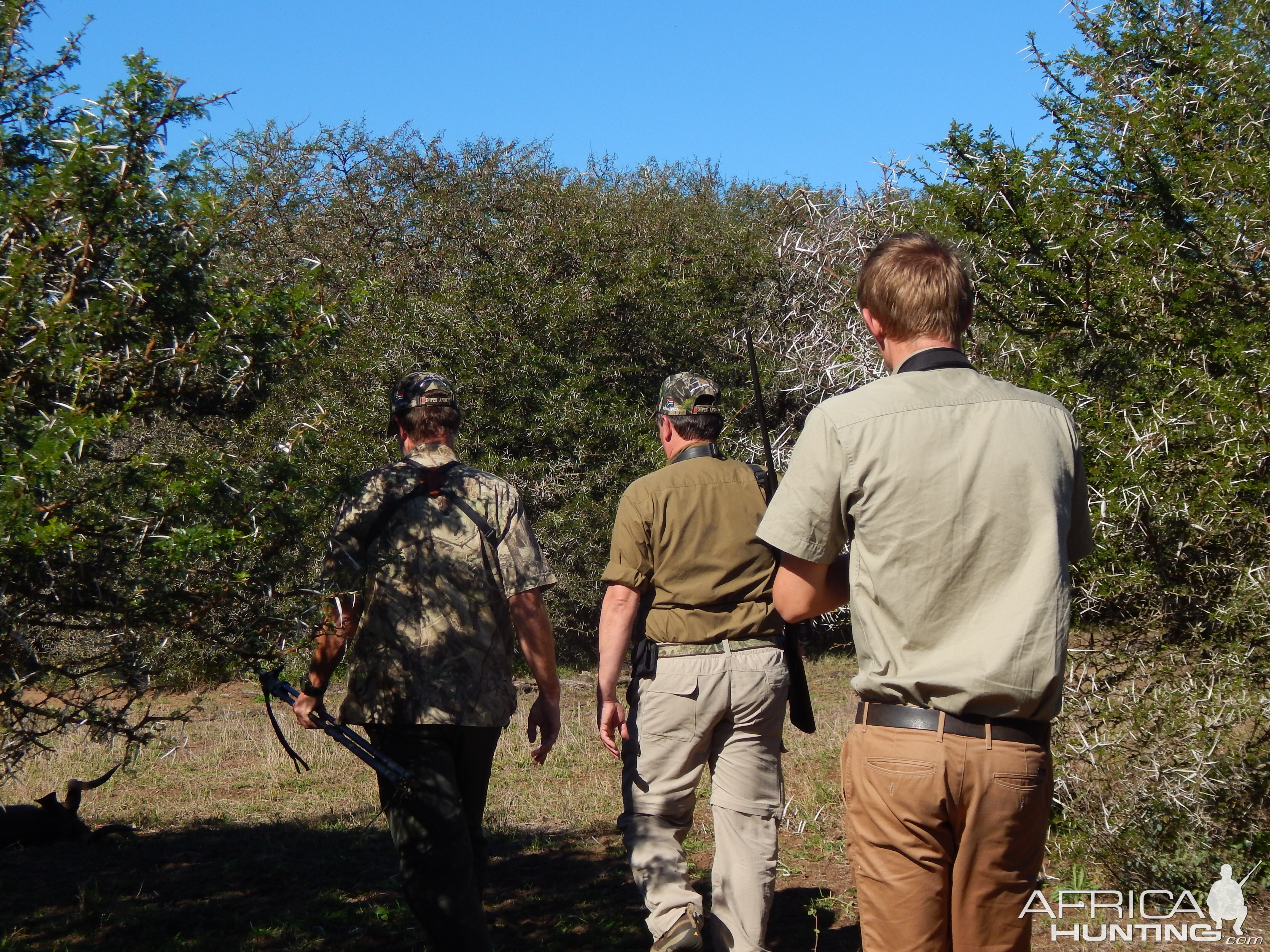 Nyala Hunt South Africa