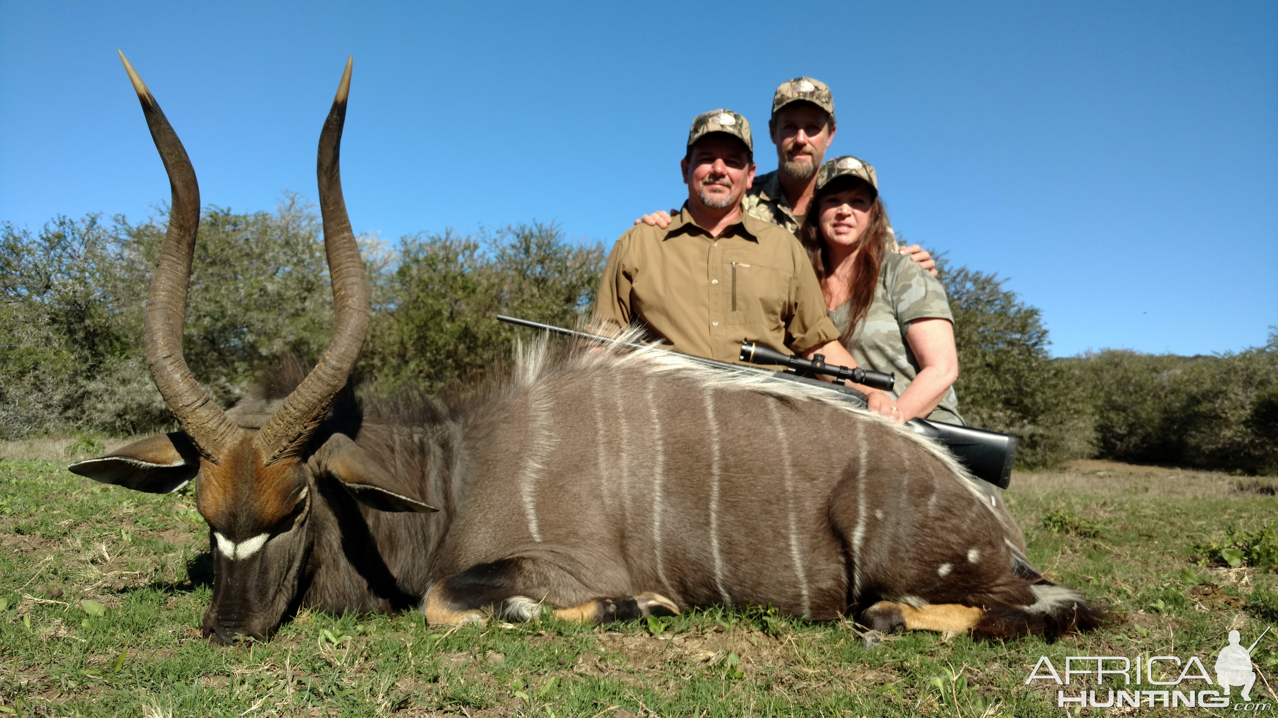 Nyala Hunt South Africa