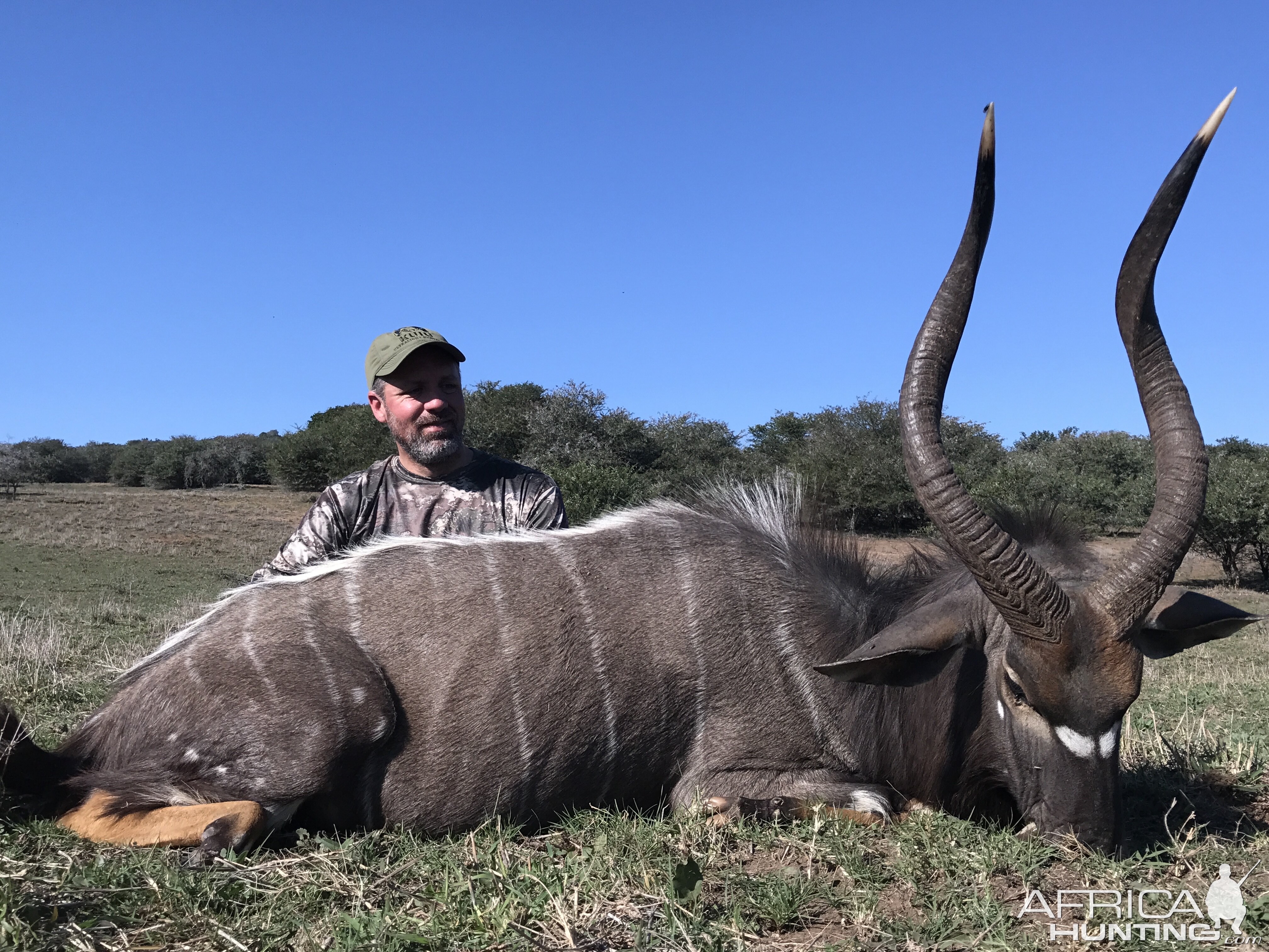 Nyala Hunt South Africa